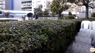 感！～咲乃